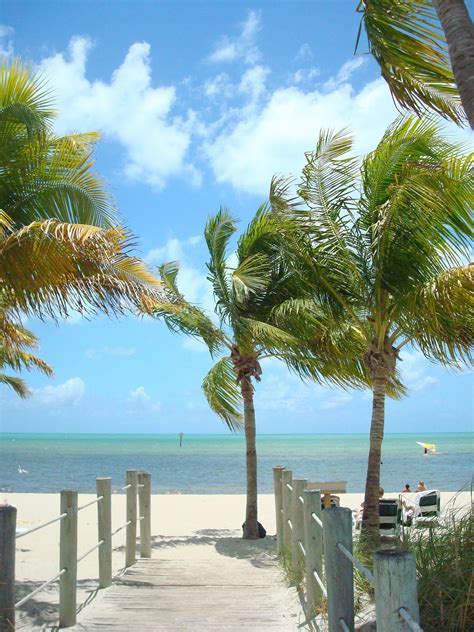 It has nice palm trees. Smathers Beach in Key West - The beach we got married on ...