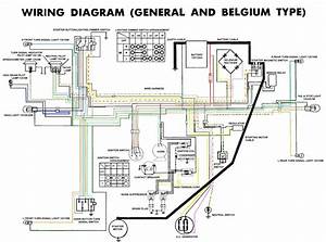 49cc Chinese Moped Wiring Diagram