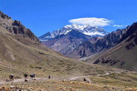 Sustainable Development: the Future of the Andean Region