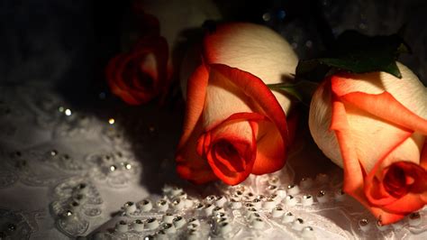 Diamond And Roses Wallpapers Top Free Diamond And Roses Backgrounds