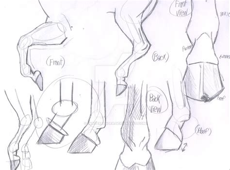 Horse Hooves And Legs Sketch By Iwaterbender Рисунки животных