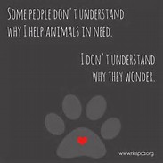 Image result for black animals need help