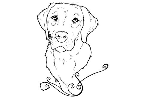 Labrador Coloring Pages Best Coloring Pages For Kids In 2021 Dog