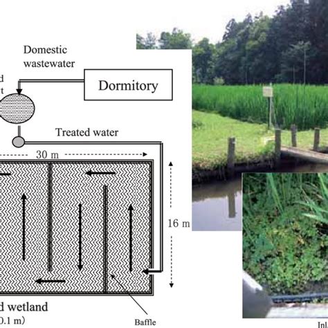 Details Of Surface Water Flow Constructed Wetland System Planted With