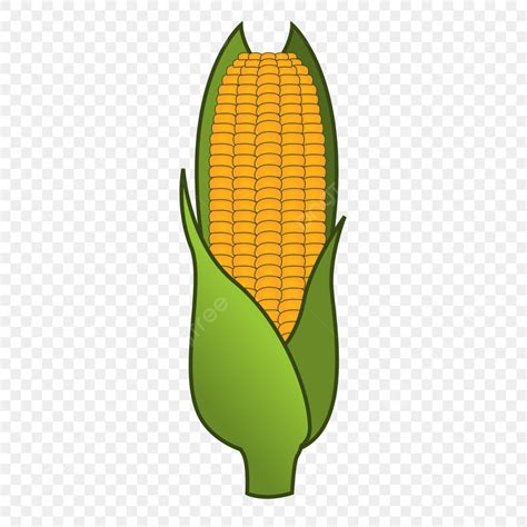 Yellow Corn Clipart Hd PNG Yellow Corn Illustration Corn