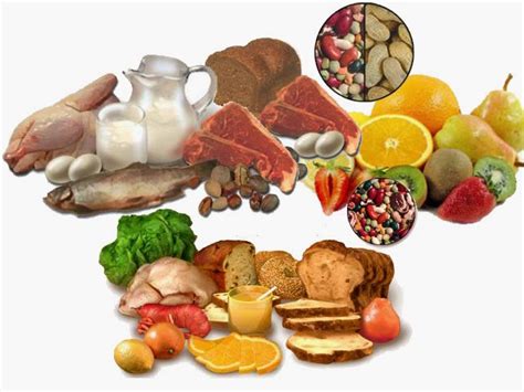 Alimentos Nutritivos Clasificacion De Los Alimentos Por Su Funcion