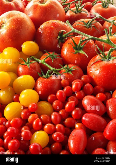 Mixed Fresh Whole Tomatoes Stock Photo Alamy