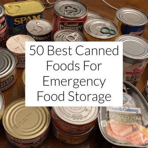 50 Best Canned Foods For Emergency Food Storage