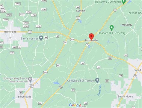 Brooksville Alabama Area Map And More