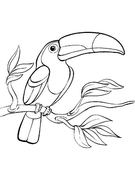 Toucan Adult Coloring Pages Coloring Pages
