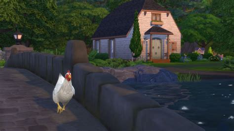How To Clean Chickens Sims 4