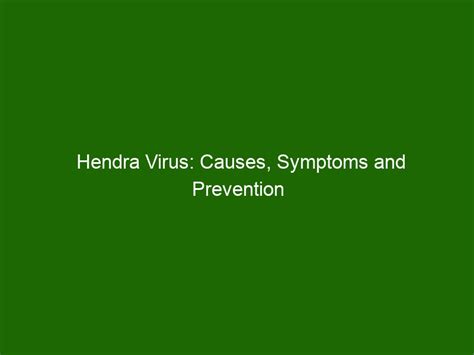 Hendra Virus Causes Symptoms And Prevention Health And Beauty