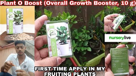 HOW TO USE PLANT O BOOST ( OVERALL GROWTH BOOSTER ) IN FRUITING PLANTS#