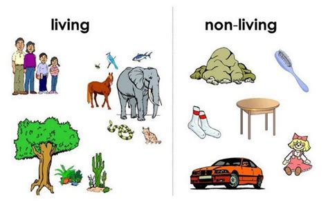 Non-living things | Living and non-living things, Non living things ...