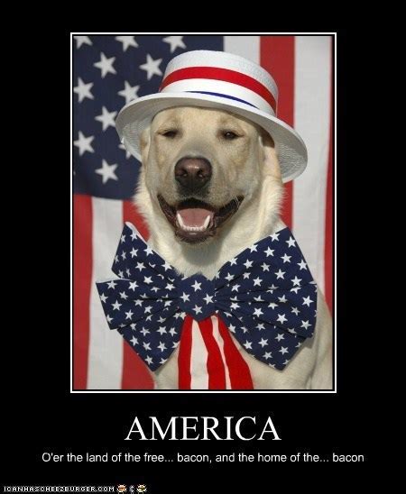 Funny Sayings About The 4th Of July - Funny Goal