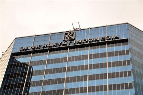 Pt Bank Rakyat Indonesia Persero Tbk Recruitment For Fresh Graduate