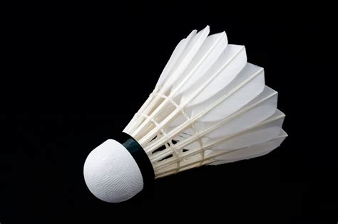 Badminton Badminton County Durham Sport For The House Name See