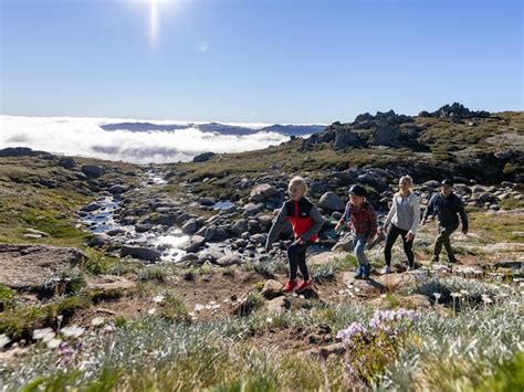 Thredbo Resort Nsw Holidays And Accommodation Things To Do