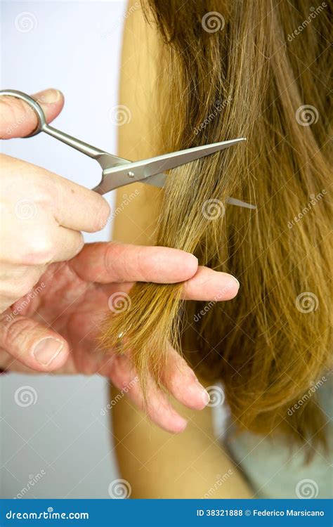 Closeup Of Very Long Hair Being Cut With Scissors Stock Photo Image