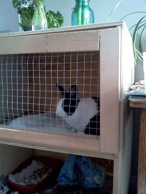 Build An Indoor Rabbit Cage 9 Steps With Pictures Instructables