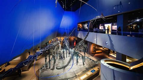 Visit Dinosaurs And Over 2000 Natural Specimens At This Permanent