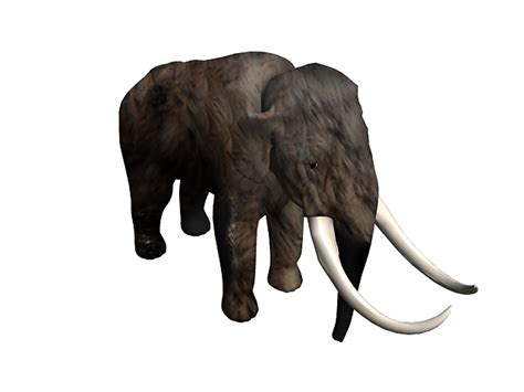 Mammoth 3d Model 3ds Max Files Free Download Cadnav