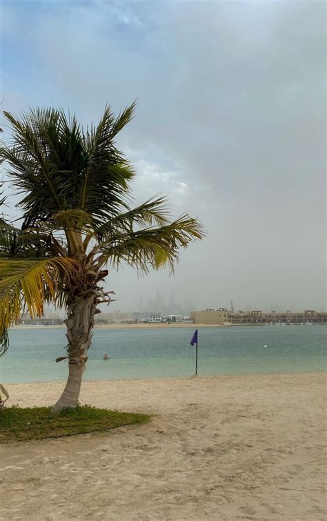Beach With Palm Trees In The Middle Of Dubai In 2022 Beach Palm