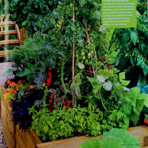 Check spelling or type a new query. Tomato & Herb Planter Box | Herb planters, Herb planter ...