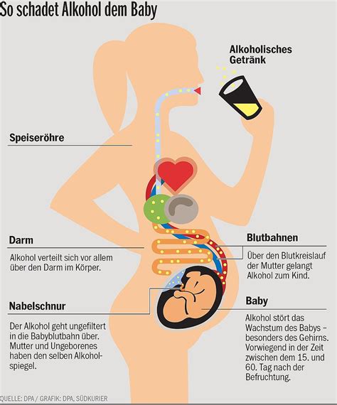 Schwangerschaft Risiko Alkohol Wie Trinken ungeborenes Leben ruinieren kann SÜDKURIER Online