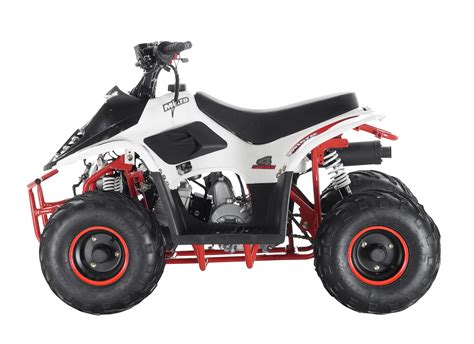 These atv quad bikes are very stylish in looks with metal frame and chasis with fiber body suitable for kids above 14 years of age and adults upto weight capacity of 150kgs, any bike mechanic can repair it and all spare parts available. Orion VRX110 Kids Quad Bike - White | Storm Buggies