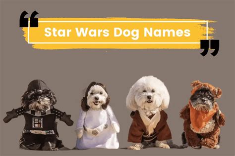 The Best Star Wars Dog Names