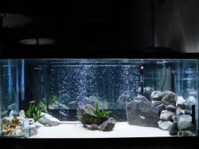 15 Gallon Hexagon Fish Tank moreover 75 Gallon Fish Tank Ideas further 