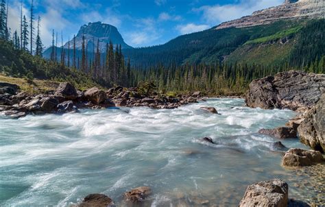 Wallpaper Stones British Columbia Canada Forest River Parks Yoho