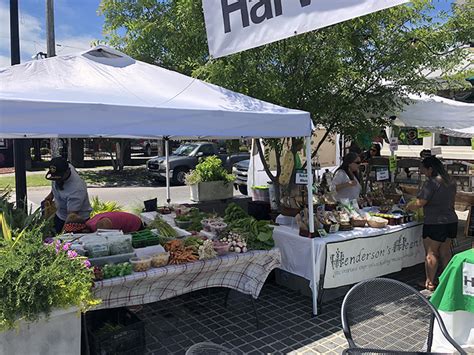 The key to success as a garlic grower is growing what people want to buy. For Vendors — HARVEST