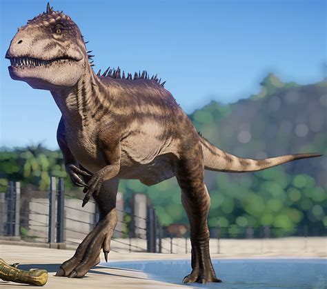 Jurassic world evolution is a business simulation video game developed and published by frontier developments. Carcharodontosaurus | Jurassic World Evolution Wiki ...