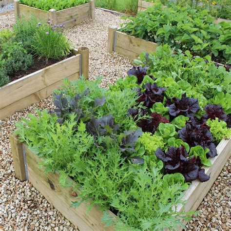 Perhaps you live in a perpetually wet climate, have an extremely wet season, or live in an area with a high water table. Advice for Raised Bed Vegetable Growers