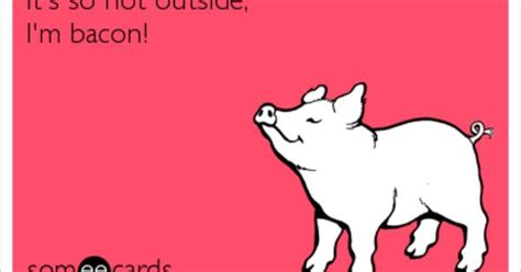 It needs to be said and heard: It's so hot outside, I'm bacon! | A ha, ha..To funny, no really | Pinterest | Bacon, Humor and ...
