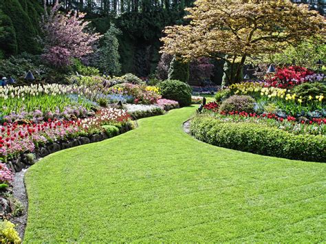 Seek Effective Landscaping Design Installation And Lawn Maintenance