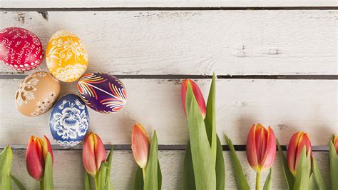 Desktop Wallpapers Easter Eggs Tulip Flower Holidays 1920x1080