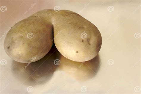 Strange Potato Stock Image Image Of Agriculture Nature 3554461