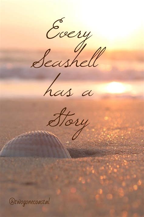 Summer Quotes Every Seashell Has A Storycollect Sea