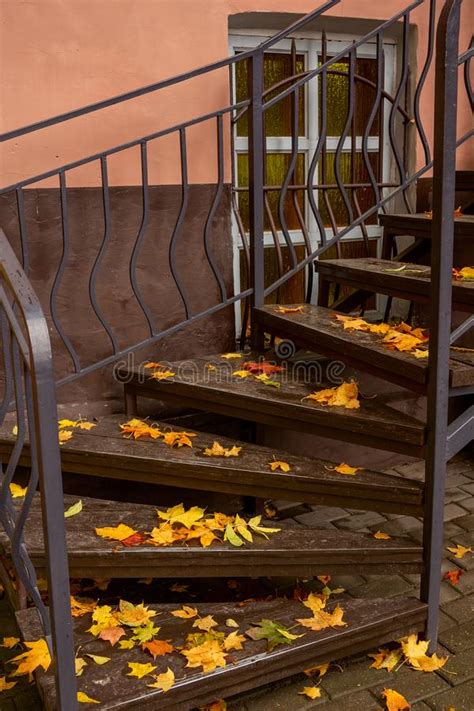 Autumn Background Stairs Fallen Yellow Maple Leaves Stock Image