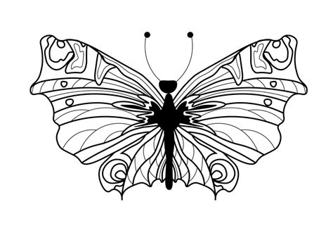 Butterfly Coloring Book Linear Drawing Of A Butterfly 11716839 Vector