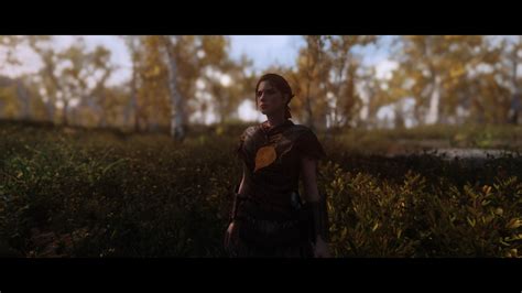 Rudy Hq Falling Leaves And Needles Se At Skyrim Special Edition Nexus