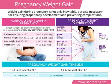 weight gain during pregnancy week by week chart