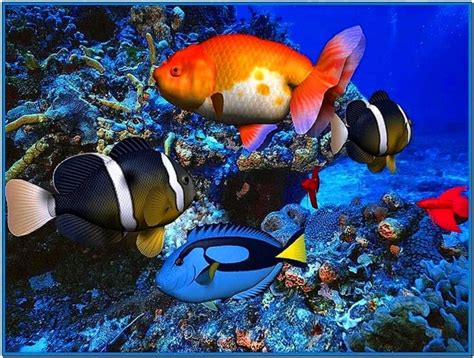 3d Aquarium Screensaver Freeware Download Screensaversbiz