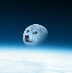 Share, discuss, create & wow about dogecoin! Isn't the moon just beautiful! : dogecoin