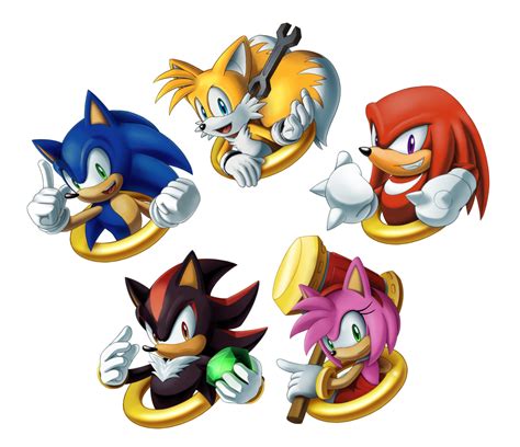 sonic and knuckles the hedgehog amy rose shadow echidna png porn sex picture