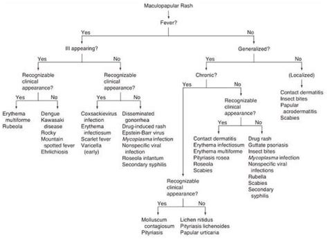 Maculopapular Rash Flow Chart Diagnosis Pediatric Nurse Practitioner