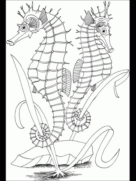 Coloring pages from favourite cartoons, fairy tales, games. Free Printable Ocean Coloring Pages For Kids